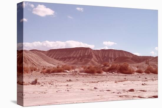 Anza Borrego Desert-NaxArt-Stretched Canvas