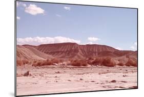 Anza Borrego Desert-NaxArt-Mounted Art Print