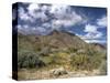 Anza Borrego Palm Canyon-Michael Polk-Stretched Canvas