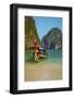 Ao Maya Bay, Ko Phi Phi Le Island, Krabi Province, Thailand, Southeast Asia, Asia-null-Framed Photographic Print