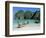 Ao Maya, Phi Phi Le, Ko Phi Phi, Krabi Province, Thailand, Southeast Asia-Bruno Morandi-Framed Photographic Print