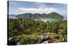 Ao Ton Sai and Ao Dalam Bays from Viewpoint-Stuart Black-Stretched Canvas