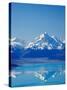 Aoraki, Mt Cook and Lake Pukaki, South Canterbury, South Island, New Zealand-David Wall-Stretched Canvas