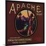 Apache Brand - Pomona, California - Citrus Crate Label-Lantern Press-Mounted Art Print