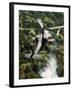 Apache Helicopter Firing-Stocktrek Images-Framed Photographic Print