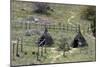 Apache Village of Wickiups Reconstructed along the White River, Fort Apache Reservation, Arizona.-null-Mounted Giclee Print