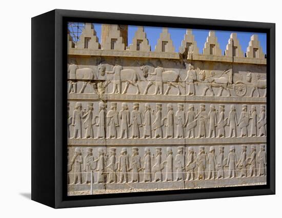 Apadama Staircase, Persepolis, Iran, Middle East-David Poole-Framed Stretched Canvas