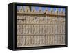 Apadama Staircase, Persepolis, Iran, Middle East-David Poole-Framed Stretched Canvas