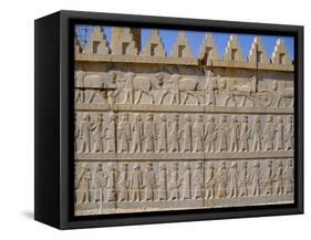 Apadama Staircase, Persepolis, Iran, Middle East-David Poole-Framed Stretched Canvas