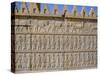 Apadama Staircase, Persepolis, Iran, Middle East-David Poole-Stretched Canvas