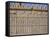 Apadama Staircase, Persepolis, Iran, Middle East-David Poole-Framed Stretched Canvas