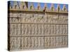 Apadama Staircase, Persepolis, Iran, Middle East-David Poole-Stretched Canvas