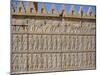 Apadama Staircase, Persepolis, Iran, Middle East-David Poole-Mounted Photographic Print