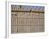 Apadama Staircase, Persepolis, Iran, Middle East-David Poole-Framed Photographic Print