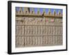 Apadama Staircase, Persepolis, Iran, Middle East-David Poole-Framed Photographic Print