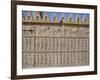 Apadama Staircase, Persepolis, Iran, Middle East-David Poole-Framed Photographic Print