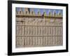 Apadama Staircase, Persepolis, Iran, Middle East-David Poole-Framed Photographic Print