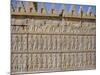 Apadama Staircase, Persepolis, Iran, Middle East-David Poole-Mounted Photographic Print