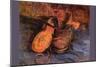 Apair of Shoes-Vincent van Gogh-Mounted Premium Giclee Print