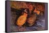 Apair of Shoes-Vincent van Gogh-Framed Stretched Canvas