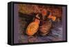 Apair of Shoes-Vincent van Gogh-Framed Stretched Canvas