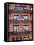 Apartment Fire Escapes, Brooklyn, New York, Ny, USA-Jean Brooks-Framed Stretched Canvas