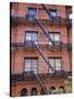 Apartment Fire Escapes, Brooklyn, New York, Ny, USA-Jean Brooks-Stretched Canvas