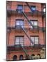 Apartment Fire Escapes, Brooklyn, New York, Ny, USA-Jean Brooks-Mounted Premium Photographic Print