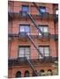 Apartment Fire Escapes, Brooklyn, New York, Ny, USA-Jean Brooks-Mounted Photographic Print