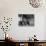 Apartment in New York Tenement House-null-Photographic Print displayed on a wall