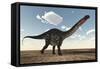 Apatosaurus Dinosaur Walking in the Desert-Stocktrek Images-Framed Stretched Canvas