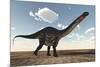 Apatosaurus Dinosaur Walking in the Desert-Stocktrek Images-Mounted Art Print