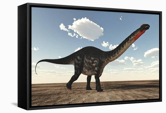 Apatosaurus Dinosaur Walking in the Desert-Stocktrek Images-Framed Stretched Canvas