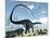 Apatosaurus Dinosaur Walking in the Desert-Stocktrek Images-Mounted Art Print