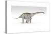 Apatosaurus Dinosaur, White Background-null-Stretched Canvas