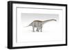 Apatosaurus Dinosaur, White Background-null-Framed Premium Giclee Print