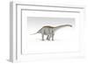 Apatosaurus Dinosaur, White Background-null-Framed Premium Giclee Print