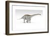 Apatosaurus Dinosaur, White Background-null-Framed Art Print