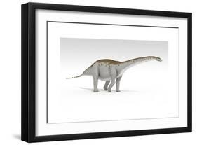 Apatosaurus Dinosaur, White Background-null-Framed Art Print