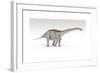 Apatosaurus Dinosaur, White Background-null-Framed Art Print