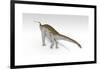 Apatosaurus Dinosaur, White Background-null-Framed Art Print