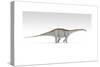 Apatosaurus Dinosaur, White Background-null-Stretched Canvas