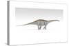 Apatosaurus Dinosaur, White Background-null-Stretched Canvas