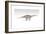 Apatosaurus Dinosaur, White Background-null-Framed Premium Giclee Print