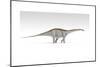 Apatosaurus Dinosaur, White Background-null-Mounted Premium Giclee Print