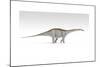 Apatosaurus Dinosaur, White Background-null-Mounted Art Print