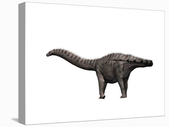 Apatosaurus Dinosaur-null-Stretched Canvas