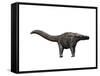 Apatosaurus Dinosaur-null-Framed Stretched Canvas