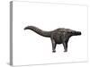 Apatosaurus Dinosaur-null-Stretched Canvas