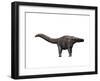 Apatosaurus Dinosaur-null-Framed Art Print